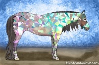 Horse Color:Bay Roan Appaloosa Rabicano