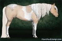 Horse Color:Silver Bay Roan Pearl Tobiano 