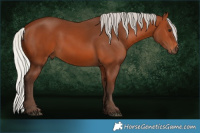 Horse Color:Silver Brown 