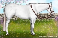 Horse Color:Black Splash Appaloosa 