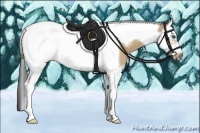 Horse Color:Buckskin Roan Dun Splash Tobiano Frame