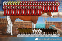 Horse Color:Silver Brown Splash Tobiano 