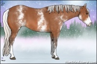 Horse Color:White Spotted Silver Bay 