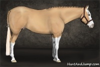 Horse Color:Gold Champagne Splash