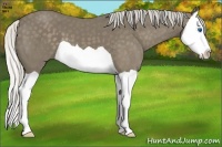 Horse Color:Silver Smoky Black Splash 