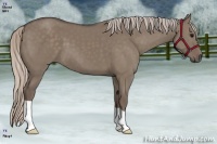 Horse Color:Silver Grullo 