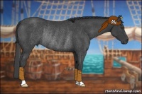 Horse Color:Smoky Black Rabicano