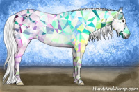 Horse Color:Gray Bay Rabicano 