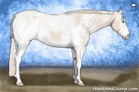 Horse Color:White Spotted Smoky Creme 