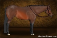Horse Color:Bay Frame