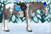 Horse Color:White Spotted Grullo Splash Tobiano