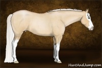 Horse Color:Silver Bay Roan Pearl Dun Splash 