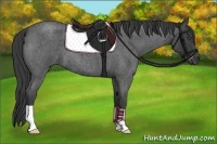 Horse Color:Smoky Blue Roan 