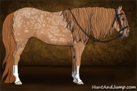 Horse Color:Chestnut Ice 