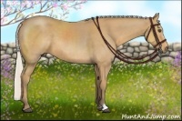 Horse Color:Silver Buckskin 