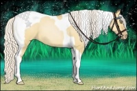 Horse Color:Silver Bay Pearl Dun Tobiano 