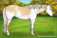 Horse Color:White Spotted Silver Classic Champagne Dun 
