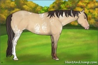 Horse Color:White Spotted Amber Champagne Dun 