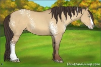 Horse Color:White Spotted Amber Champagne Dun Splash Rabicano