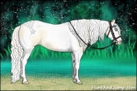 Horse Color:Silver Amber Cream Champagne Pearl Dun Splash Tobiano 
