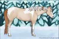 Horse Color:Smoky Black Pearl Splash Tobiano 