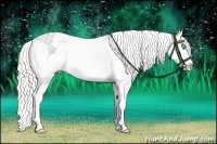 Horse Color:Silver Classic Cream Champagne Pearl Dun Splash Tobiano Appaloosa Rabicano 