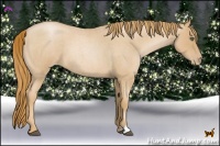Horse Color:Red Roan Pearl 