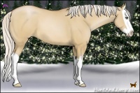 Horse Color:Silver Brown Pearl Dun Splash 