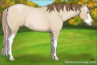 Horse Color:Bay Roan Pearl Dun Splash 