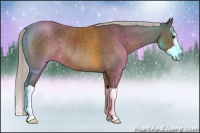 Horse Color:Silver Black Splash Rabicano 