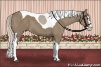 Horse Color:Silver Grullo Splash Tobiano 
