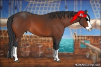 Horse Color:Bay Splash 