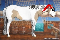 Horse Color:Buckskin Roan Dun Splash Tobiano 