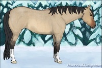 Horse Color:Bay Roan Dun 