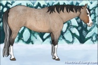 Horse Color:Bay Roan Dun Splash