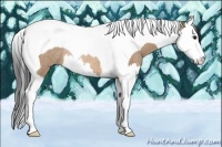 Horse Color:Bay Roan Dun Splash Tobiano Rabicano