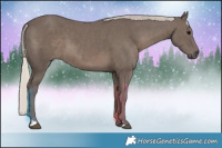 Horse Color:Silver Black 