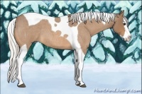 Horse Color:Silver Buckskin Roan Splash Tobiano