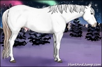 Horse Color:Buckskin Ice Roan Tobiano Blanket