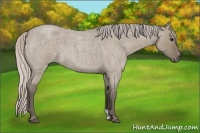 Horse Color:Silver Grullo Roan 