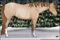 Horse Color:Bay Roan Pearl Rabicano 