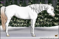 Horse Color:Brown Pearl Dun Appaloosa Rabicano 
