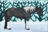 Horse Color:Blue Roan Tobiano