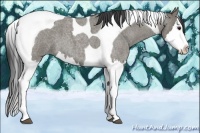 Horse Color:Smoky Grullo Roan Splash Tobiano 