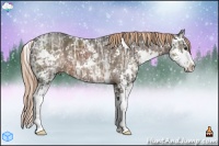 Horse Color:Liver Chestnut Ice Sabino 