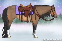 Horse Color:Buckskin Rabicano
