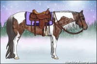 Horse Color:Bay Tobiano Varnish Rabicano 