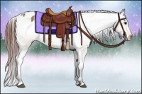 Horse Color:Brown Dun Varnish Rabicano