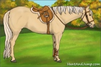 Horse Color:Palomino Roan 