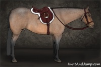 Horse Color:Buckskin Roan Rabicano 